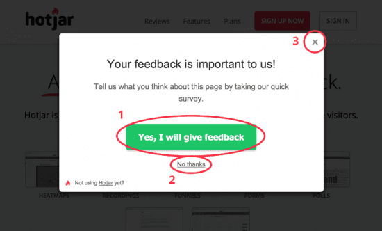 Hotjar website intercept