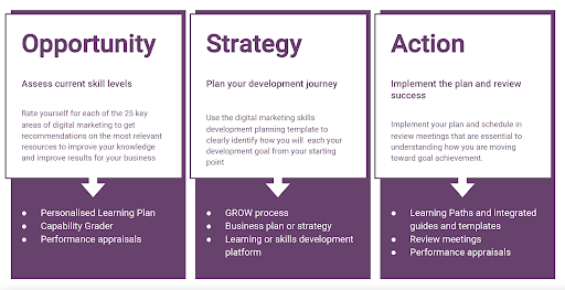 Opportunity Strategy Action training