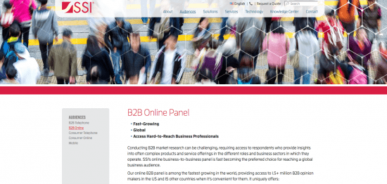 SSI B2B panel services